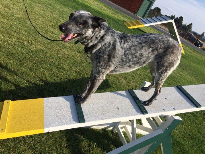  Almost done with the high walk 