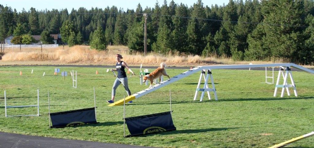  Finishing up on the high walk 