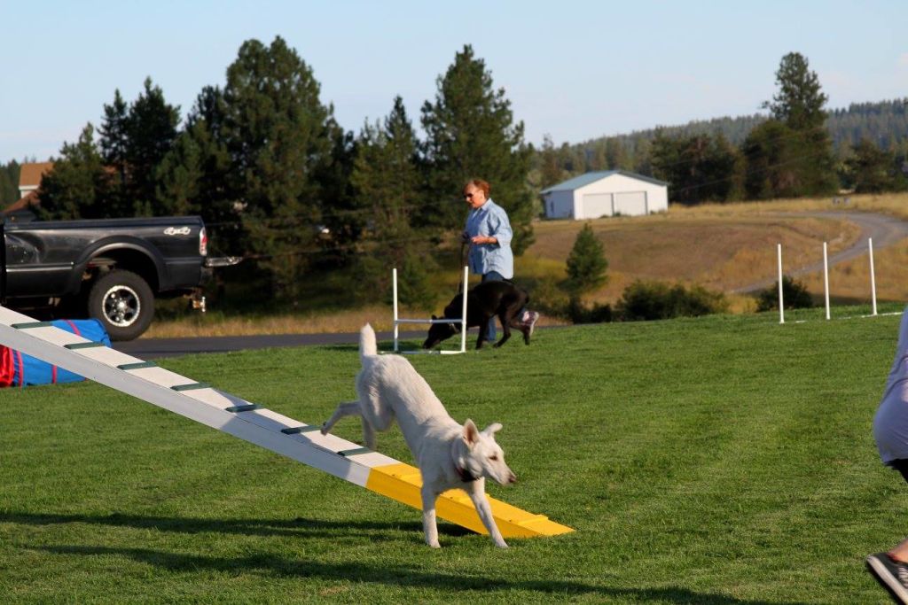  Cheating coming off the high walk 