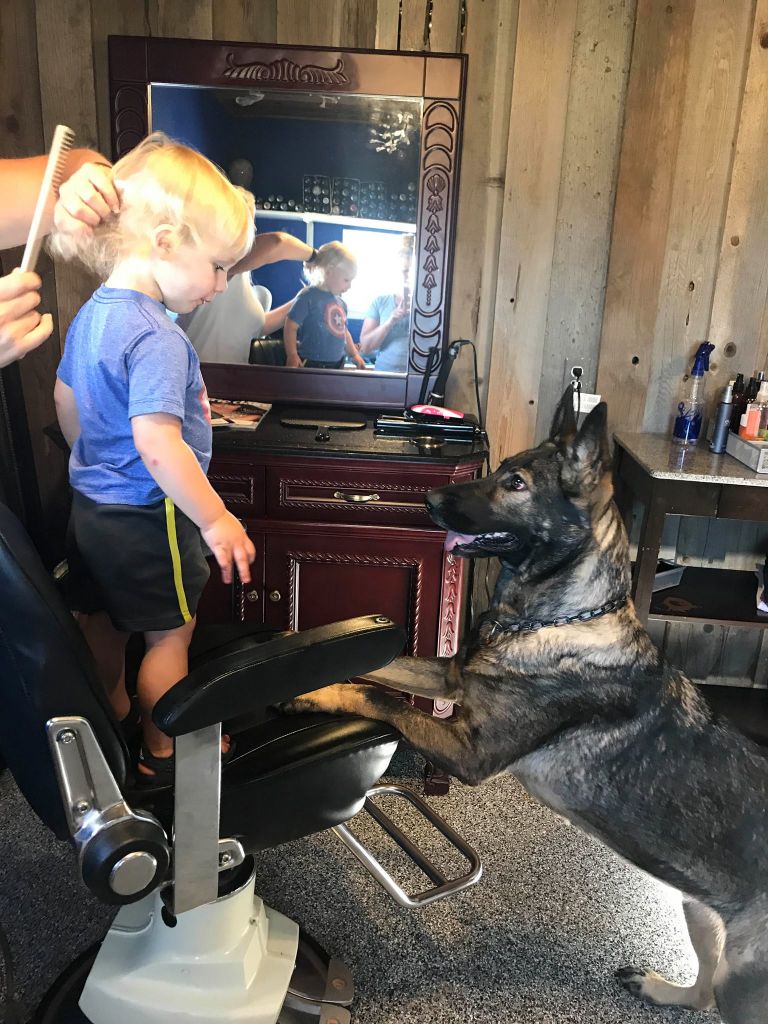  GSD meeting a small human 