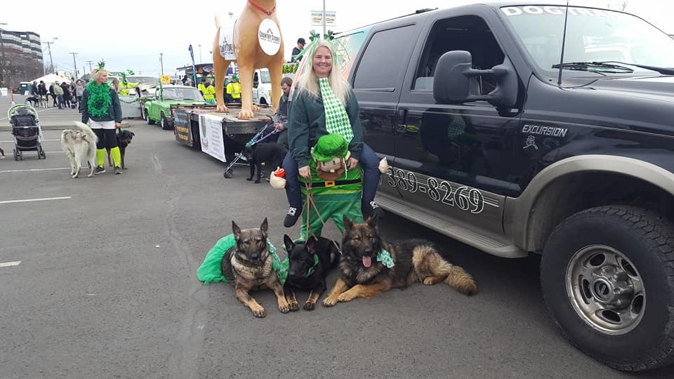  K9 bus pulling Country Store dog 