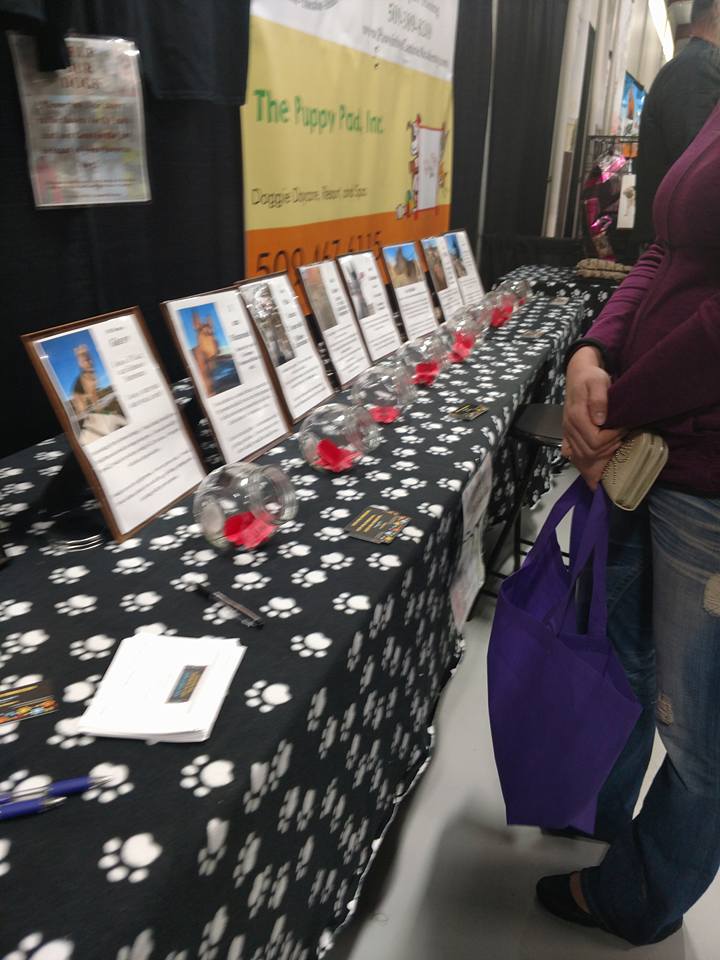  Pawsitive Canine Academy did glitter tattoos at an event 