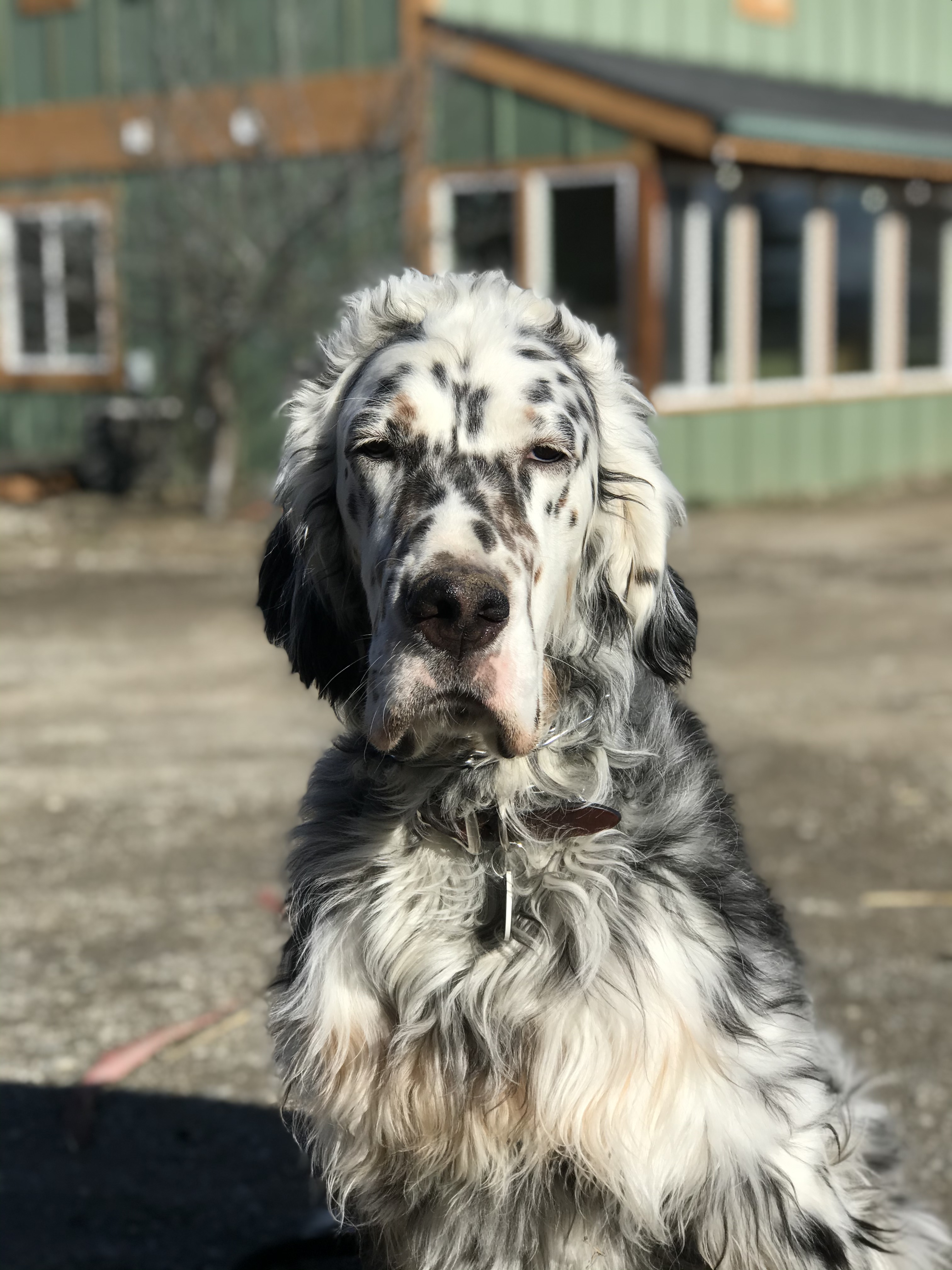  Some days you don't want to wake up 