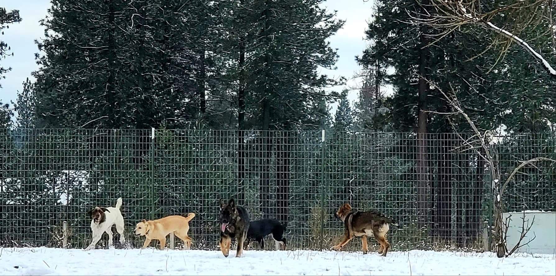  Play time in the snow at day school 