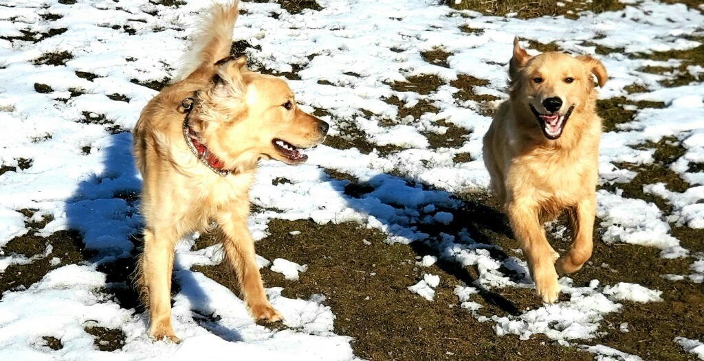  Playing in the snow during play time 