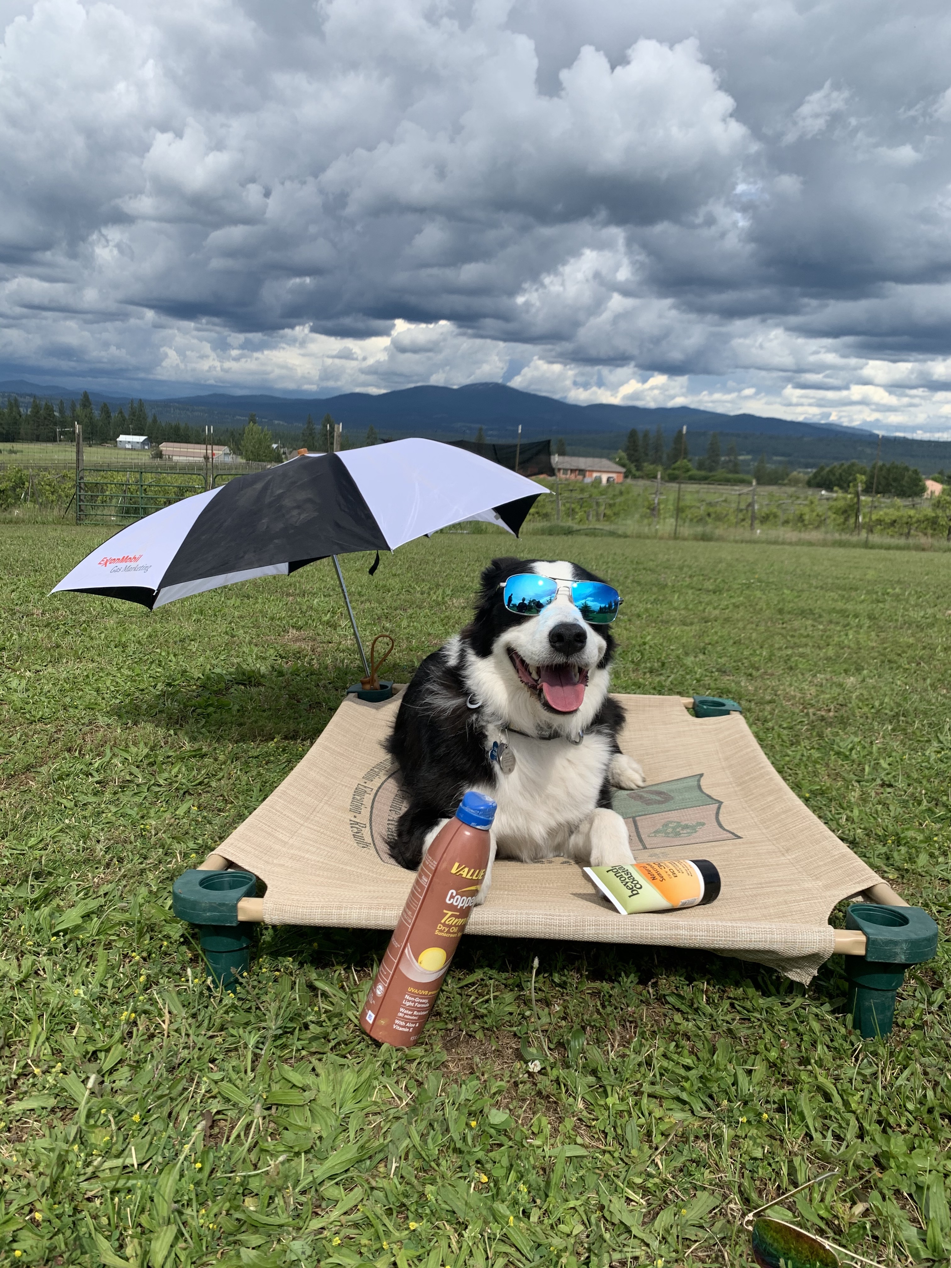  Some times, it is good to relax 