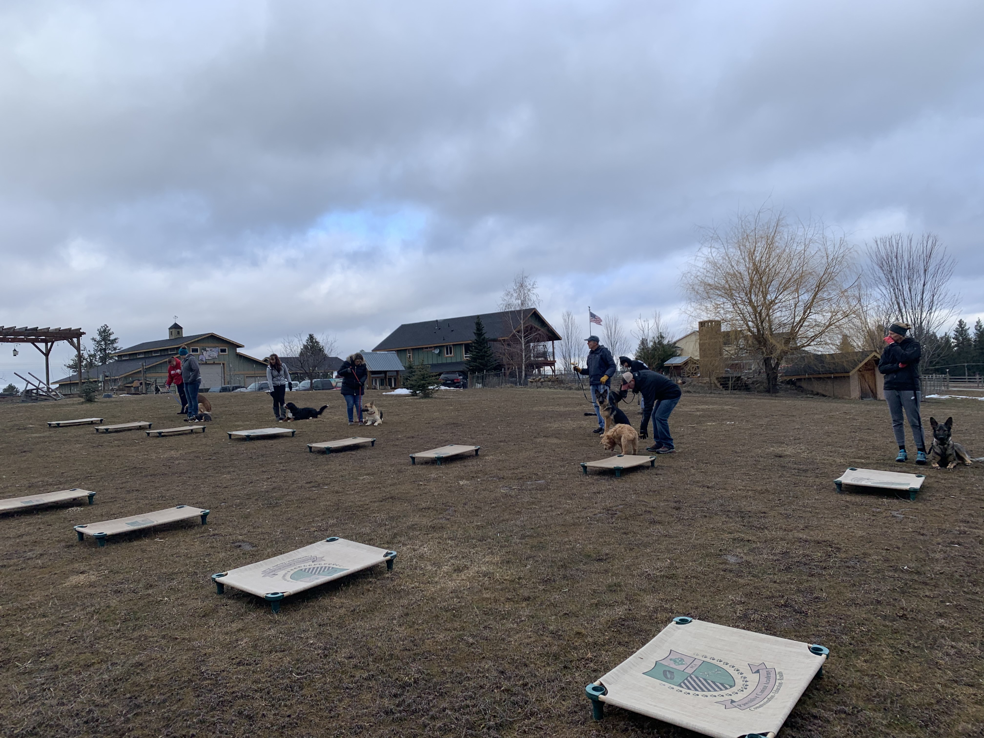  Group class at Pawsitive Canine Academy 